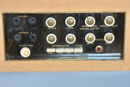 Bird-Golden Eagle 4/25 amp AS SEEN